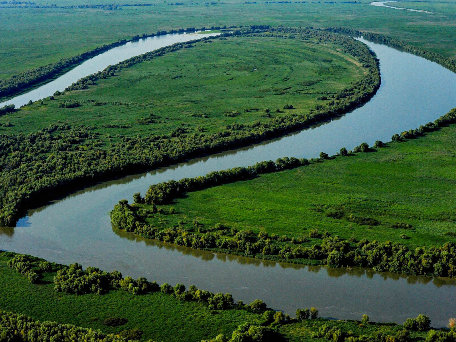 Canal șerpuit din Delta Dunării